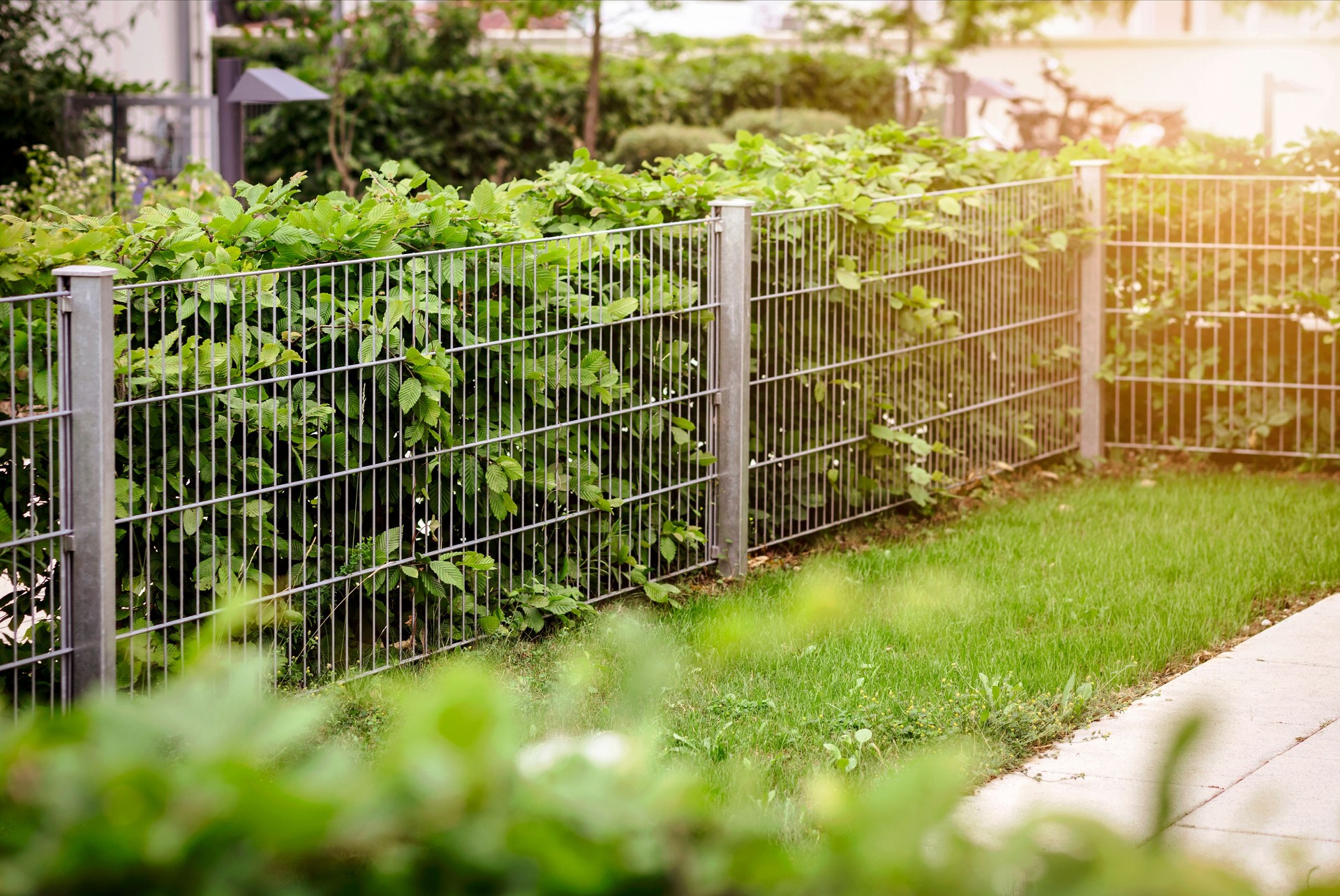 Hedge with Stainless Steel Mesh Fence of Patio Garden